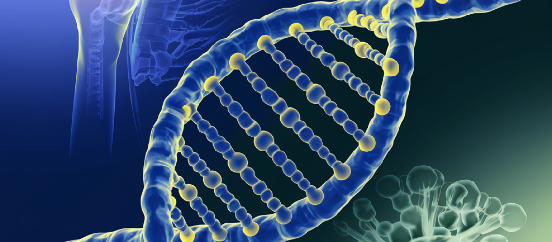 doenças reumáticas e genética